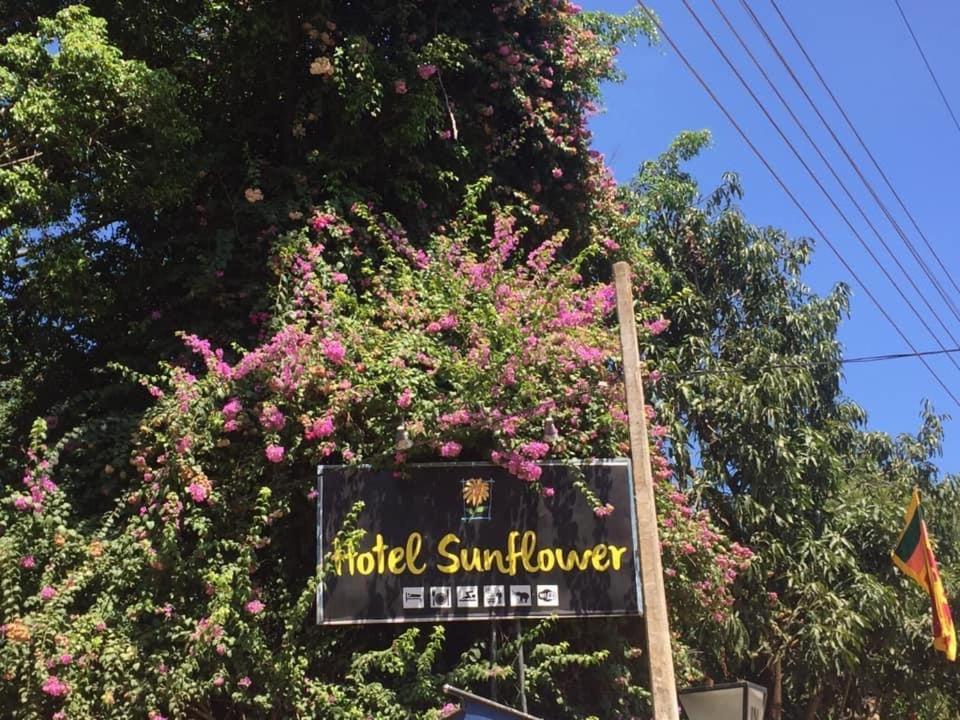 Hotel Sunflower Kataragama Eksteriør bilde